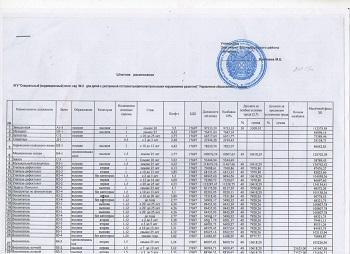 Штатное расписание на 2019г.
